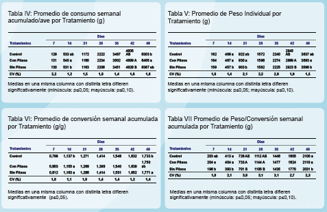 Uso de una 6-fitasa bacteriana termoestable en la alimentación de pollos - Image 2