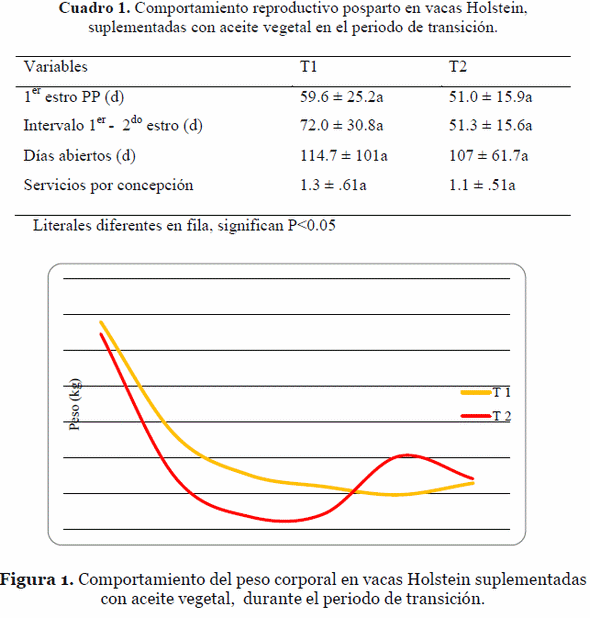Efecto de la suplementación con aceite vegetal en vacas lecheras durante el periodo de transición sobre el peso, condición corporal y comportamiento reproductivo - Image 1
