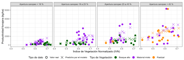 Figura 1. Mediciones a campo de la productividad forrajera y predicciones del modelo IVN. El IVN (eje X) ha mostrado un efecto positivo sobre la productividad forrajera cuando la apertura del canopeo es alta. Los datos se han subdividido según el estado alternativo del bosque (colores) y rangos de apertura del canopeo (paneles). Los rangos de apertura se han seleccionado únicamente para fines de visualizar los resultados. Bondad de ajuste (D2 ) = 0.391.