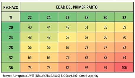 De la gauchera al primer parto - Image 3