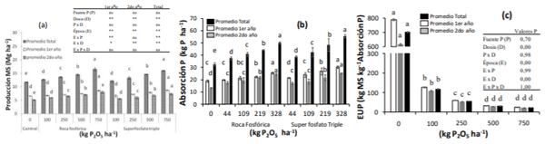 Figura 1. Efecto de la roca fosfórica (RF) y superfosfato triple (SFT) sobre la producción de materia seca (a), absorción de fósforo (b) y eficiencia de uso de fósforo (c) en una pradera permanente (n = 3, ± error estándar).