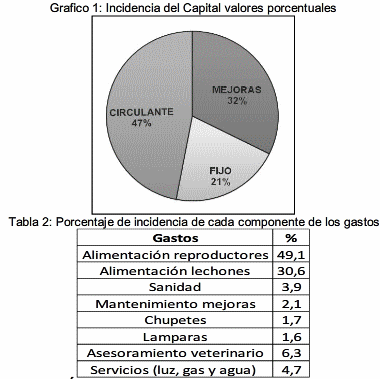 Caracterización del costo de producción de un productor familiar porcino - Image 2