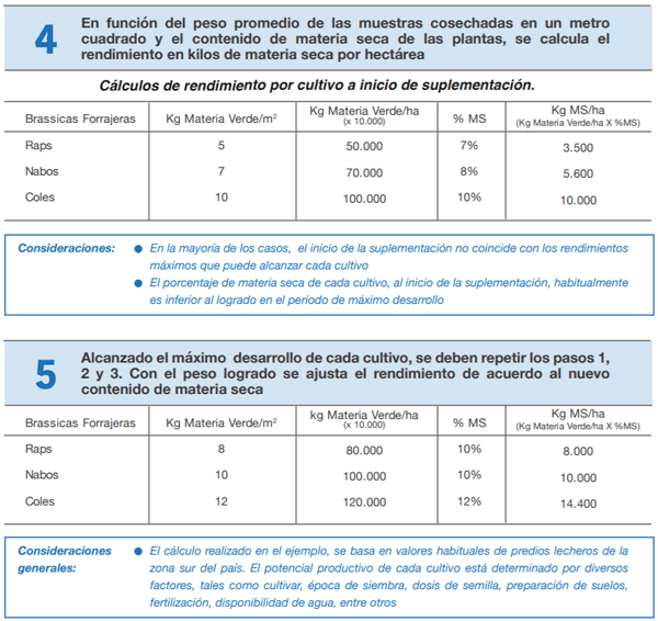 FORRAJERAS - Determinaciones en praderas y cultivos suplementarios - Image 11