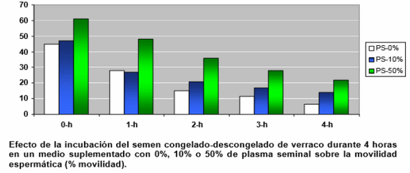 Avances para mejorar los resultados reproductivos en porcino utilizando semen criopreservado - Image 2