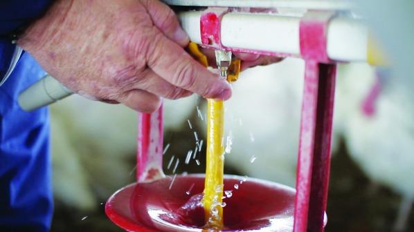 Tres programas comunes de saneamiento del agua - Image 1