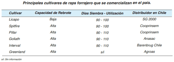 FORRAJERAS - 4 Forrajes suplementarios - Image 7
