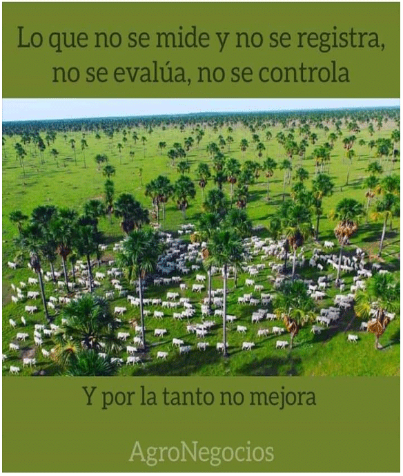 BOTERO - GANADERÍA DE PRECISIÓN: ANÁLISIS FINANCIERO MANUAL SIMULADO, BASADO EN LA PROYECCIÓN DE HATOS, PARA ESTIMAR LOS INGRESOS NETOS ANUALES POR CONCEPTO DE VENTA DE PRODUCTOS EN UNA EMPRESA DE GANADO VACUNO O BUFALINO EN AMÉRICA TROPICAL - Image 3