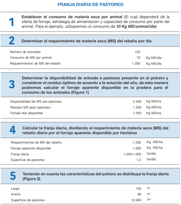 FORRAJERAS - Determinaciones en praderas y cultivos suplementarios - Image 6