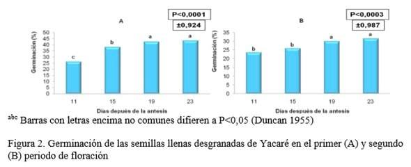 Determinación del momento más favorable de cosecha de semillas de Brachiaria híbrido vc. Yacaré - Image 2