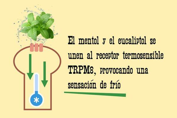 Ventajas del uso de aceites esenciales para combatir el estrés por calor - Image 3
