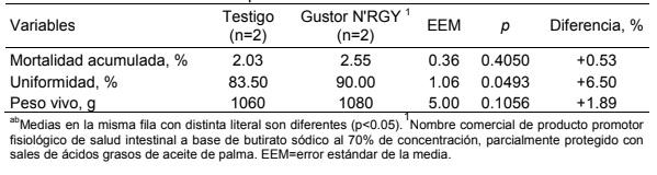 Evaluación de Gustor N'Rgy en la crianza de pollitas ponedoras - Image 3