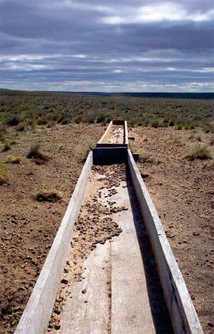 Suplementación estratégica de ovejas Corriedale para aumentar la tasa de señalada en la Estepa Magallánica seca - Image 2
