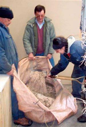 Suplementación estratégica de ovejas Corriedale para aumentar la tasa de señalada en la Estepa Magallánica seca - Image 1