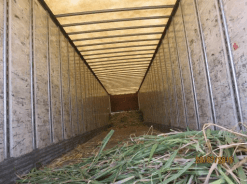 DÍAS DEMOSTRATIVOS PARA LA SIEMBRA DE ZACATE MARALFALFA EN SONORA 2015 - Image 11