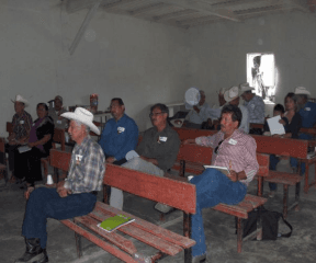 DÍAS DEMOSTRATIVOS PARA LA SIEMBRA DE ZACATE MARALFALFA EN SONORA 2015 - Image 6