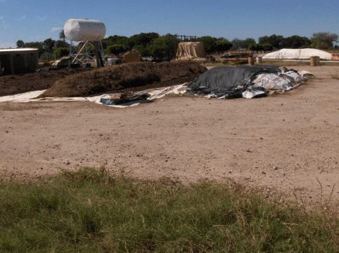 Integrando la pradera irrigada de zacate maralfalfa pennisetum purpureum en la planeación ganadera para una producción rural sustentable en Sonora - Image 3