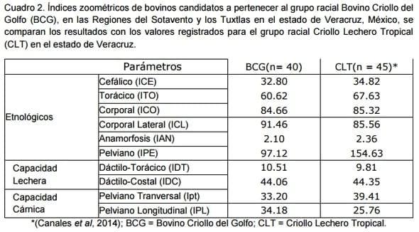 Evaluación morfométrica y zoométrica del bovino criollo del golfo - Image 3