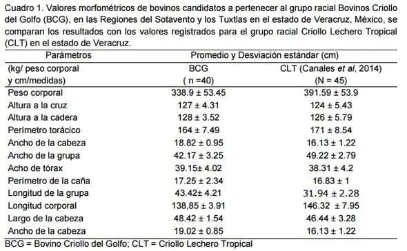 Evaluación morfométrica y zoométrica del bovino criollo del golfo - Image 2