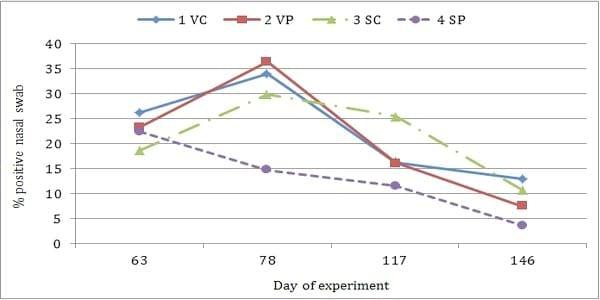 Influencia del plasma porcino secado por atomización en dietas de iniciación asociadas con un programa convencional de vacunación en el desarrollo productivo desde destete hasta finalización - Image 6