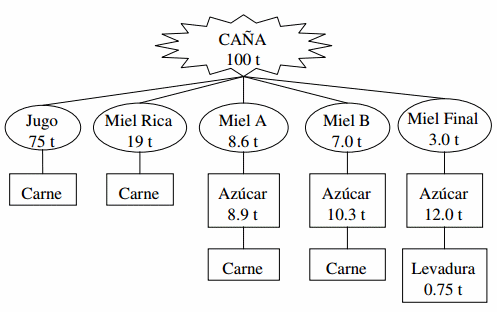 Uso de la caña de azúcar en la alimentación de cerdos - Image 1