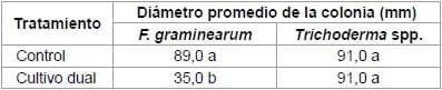 Control biológico de Fusarium graminearum: utilización de Trichoderma spp. y biofumigación con parte aérea de Brassica juncea - Image 5