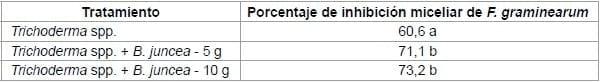 Control biológico de Fusarium graminearum: utilización de Trichoderma spp. y biofumigación con parte aérea de Brassica juncea - Image 6