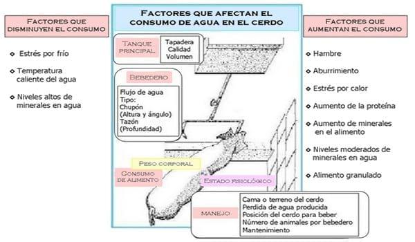 Factores que afectan el consumo de agua en lechones - Resumen - Image 3