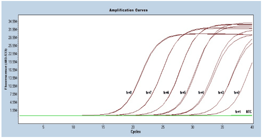 Validación de Real-Time PCR: Detección y Cuantificación del Virus de Laringotraqueitis Infecciosa Aviar para la industria biofarmacéutica - Image 3