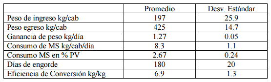 Novillo Holando: Una opción para diversificar la producción en el tambo - Image 2