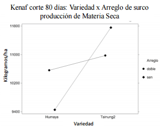 Densidad de siembra, arreglo de surco y edad de corte en la producción forrajera de las variedades humaya y tainung-2 de kenaf - Image 6