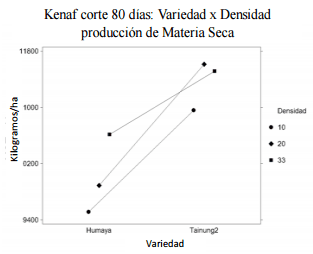 Densidad de siembra, arreglo de surco y edad de corte en la producción forrajera de las variedades humaya y tainung-2 de kenaf - Image 5
