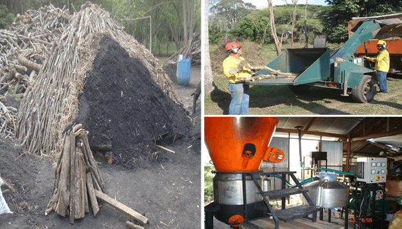 Productividad, calidad de forrajes y potencial de producción y de calidad en productos de origen animal en sistemas silvopastoriles - Image 21