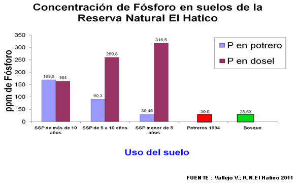 Productividad, calidad de forrajes y potencial de producción y de calidad en productos de origen animal en sistemas silvopastoriles - Image 13