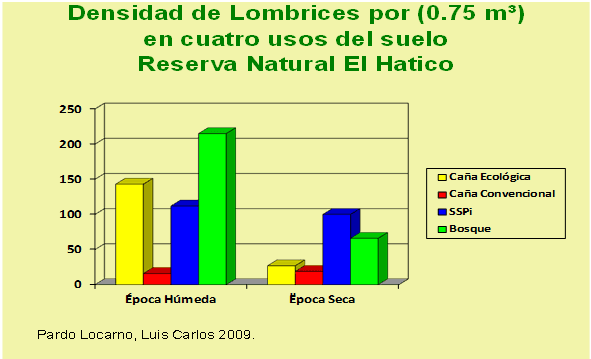Productividad, calidad de forrajes y potencial de producción y de calidad en productos de origen animal en sistemas silvopastoriles - Image 17