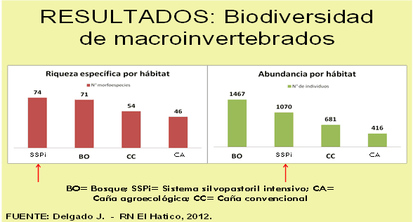 Productividad, calidad de forrajes y potencial de producción y de calidad en productos de origen animal en sistemas silvopastoriles - Image 16