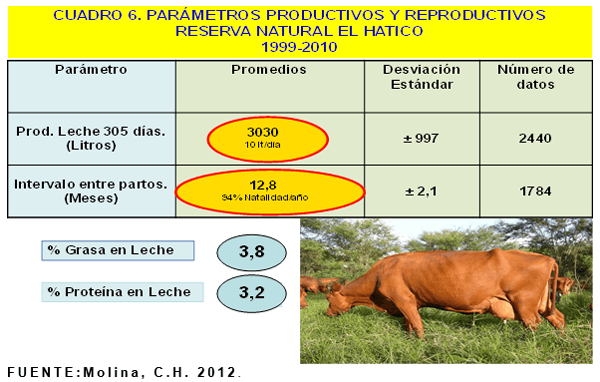 Productividad, calidad de forrajes y potencial de producción y de calidad en productos de origen animal en sistemas silvopastoriles - Image 10