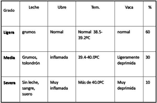 Manejo de vacas con mastitis clinica y otras enfermedades en área de Hospital - Image 1