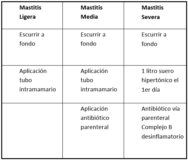 Manejo de vacas con mastitis clinica y otras enfermedades en área de Hospital - Image 2