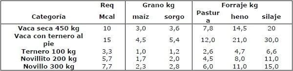 Alimentación del Ganado en períodos de inundación - Image 1