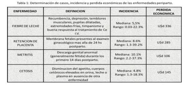 Linea Vaca Saludable - Image 3