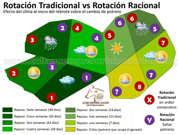 Manejo Racional de Pasturas: “Como parte del éxito en la Ganadería” - Image 1