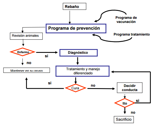 Dos enfoques de la calidad en lecherías: Buenas Prácticas para explotaciones de bajos insumos y Gestión de Procesos para empresas de mayores recursos. - Image 5