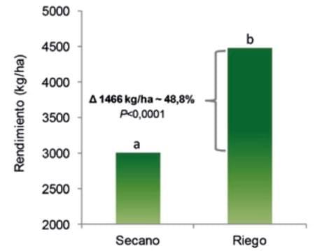 Soja: rendimiento con y sin riego a diferentes poblaciones de siembra - Image 3