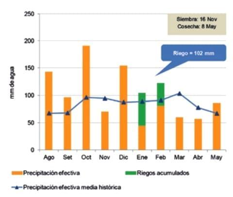 Soja: rendimiento con y sin riego a diferentes poblaciones de siembra - Image 1