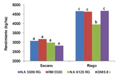 Soja: rendimiento con y sin riego a diferentes poblaciones de siembra - Image 4