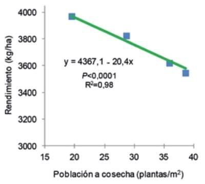 Soja: rendimiento con y sin riego a diferentes poblaciones de siembra - Image 6