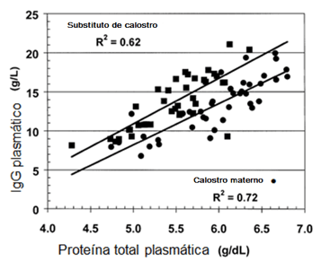 Calostro: primer alimento en definir el futuro productivo del rodeo lechero. Parte 1: calostro e inmunidad pasiva - Image 5