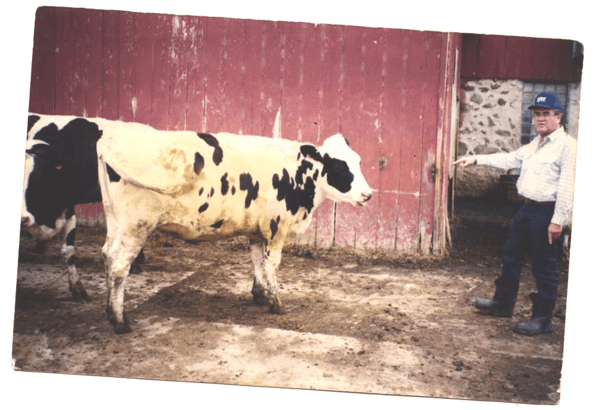 Permita que sus remplazos lecheros (becerras/vaquillas) exhiban su verdadera genética para crecer, reproducirse y luego producir leche. - Image 5