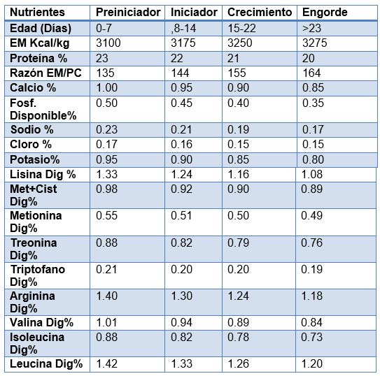 Nutrición de precisión para pollo de engorde de alto desempeño - Image 13