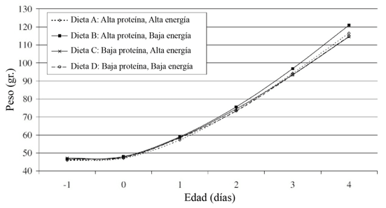 Nutrición de precisión para pollo de engorde de alto desempeño - Image 8
